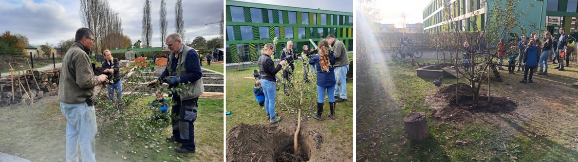 Gartenaktionstag 5